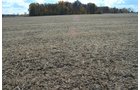 Property photo 2 - 75.3 Acres Offered in 2 Tracts